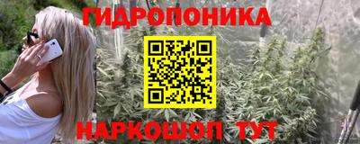 шишки Нягань