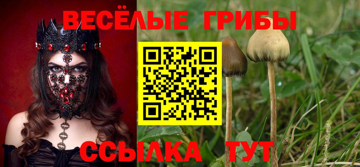Псилоцибиновые грибы Cubensis  Галлюциногенные грибы Psilocybe  Вход с VPN  Усинск 